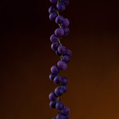 Dark Purple Grapes Cluster with DNA Helix on Brown Gradient Background