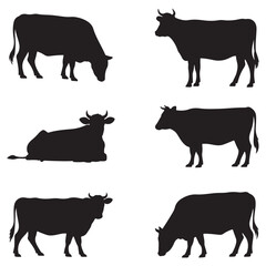 Fototapeta premium Cow and Bull Silhouette Vector Collection – Black Farm Animal Clipart in Standing, Grazing and Sitting Poses on White Background for Commercial and Branding Use . Thank You .
