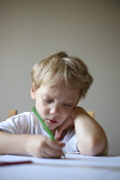 little boy studying