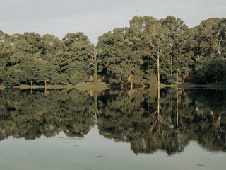 Obraz premium Ancient temples of the abandoned city of Angkor, near the city of Siem Reap, Cambodia