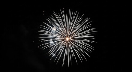Fototapeta premium Striking fireworks burst illuminates the night sky, showcasing symmetrical trails against darkness.