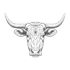 Texas Longhorn Cow Head with retro photocopy stipple effect, for grunge design. Vector illustration in vintage halftone brutalist design for banner or poster