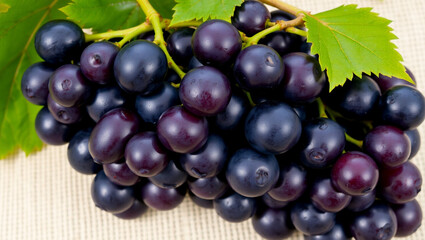 Fototapeta premium plump grapes with a purplish-black hue, some still on the stem. 