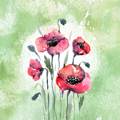 Beautiful watercolor bouquet of red poppies on a textured green background, hand-drawn illustration. Sticker, postcard, sketch, watercolor flower, poppies