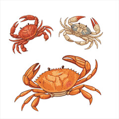 crabs-vector.