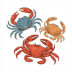 crabs-vector.