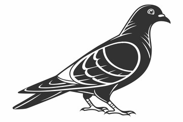 pigeon sihouette black vector