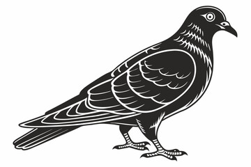 Fototapeta premium pigeon sihouette black vector