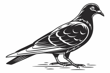 pigeon sihouette black vector