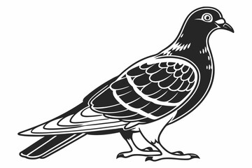 pigeon sihouette black vector