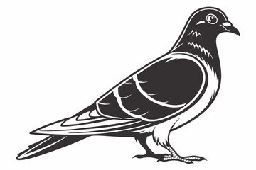 pigeon sihouette black vector