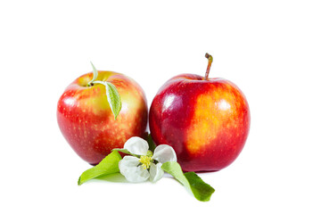 Red juicy apples with flowers and leaves. Isolated on white background.