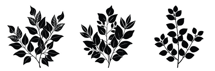 Black and white vector illustration of botanical leaves for design and decoration elements graphics art
