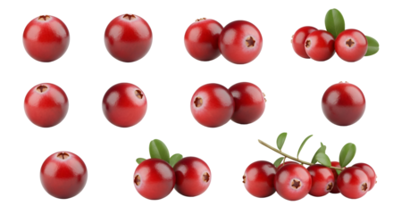 Cranberries: Red Berries on Transparent Background, Perfect for Designs