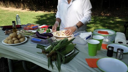 Woman seasoning food for grilling on BBQ. Vegetable skewers preparation for cooking on fire grill pan barbecue. Various vegan foods for healthy mixed salad. Summertime outdoors lifestyle and picnic.