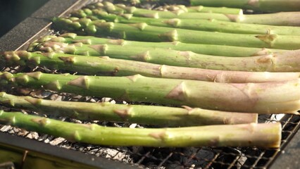 Asparagus on wood logs charcoal BBQ grill. Close up shot of grilled asparagus. Fresh green sparrow grass stems cooking on fire during sunny warm summer camping in the wild forest.