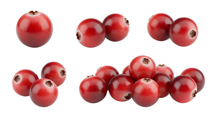 Showcase of Cranberries with Transparent Background, Vivid Red Berries,  Isolated Images, Perfect for Designs