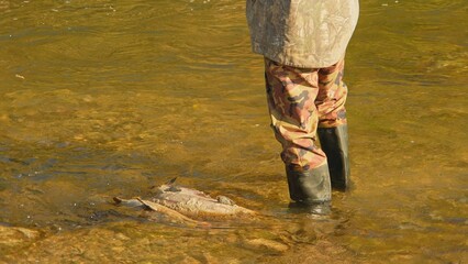 Unrecognizable fisherman fly fishing. Angler fly fishing at the river and casts the line. Close up of fly rod and reel at sunny day with rocks in the background.