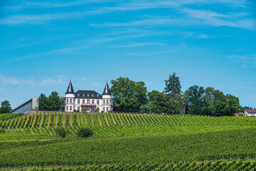 View over the vineyards of Johannisberg under a blue and white sky