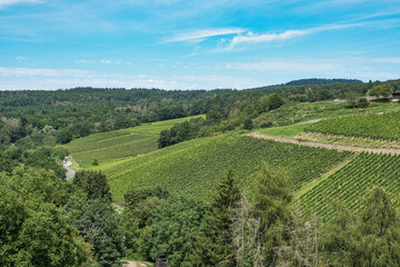 View over the vineyards of Johannisberg under a blue and white sky