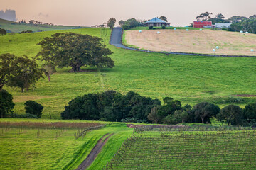 Gerringong  is a town located about ten minutes drive south of Kiama, and about twenty minutes...