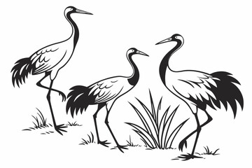 cranes bird sihouette black vector bundle
