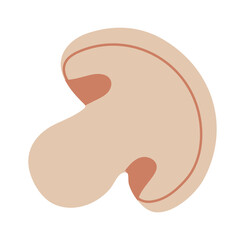 Minimalist vector illustration featuring a sliced mushroom, highlighting the stem and cap with visible gills, all set against a clean white background for a fresh, modern look