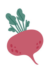 Hand drawn illustration featuring a vibrant beet with lush green leaves, isolated on a clean white background, symbolizing healthy eating and fresh, organic produce from the farm