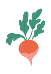 Colorful vector illustration of a beet with green leaves isolated on white background, depicting the concept of healthy eating and promoting fresh, locally sourced produce