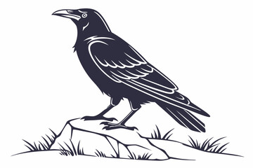 rook bird sihouette black vector