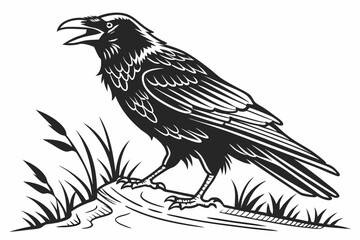 rook bird sihouette black vector