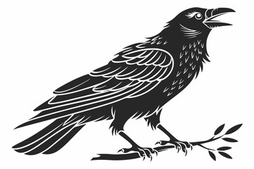rook bird sihouette black vector