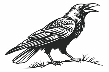 rook bird sihouette black vector