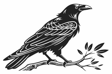 rook bird sihouette black vector