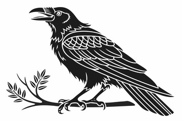 rook bird sihouette black vector