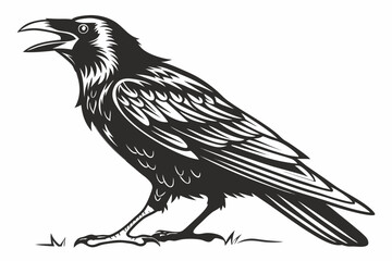 rook bird sihouette black vector