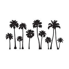 Set of black palm tree silhouettes isolated on white background. Vector illustration.