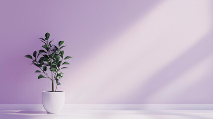 Corporate Background Set – Plants – ZZ Plant – 9 (of 9)
