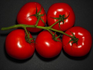 Red ripe whole tomatoes with stalks on a green branch close-up, several pieces