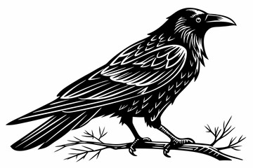 raven sihouette black vector