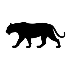 silhouette of a leopard