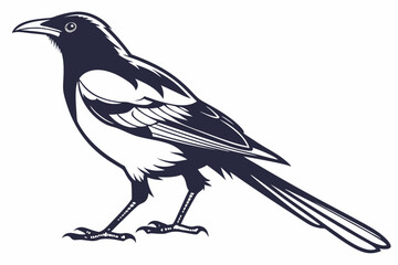 magpie sihouette black vector