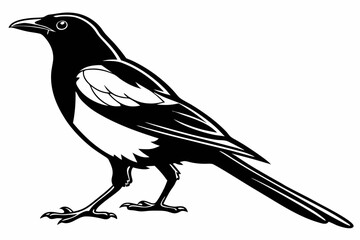magpie sihouette black vector