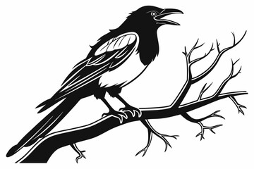 magpie sihouette black vector