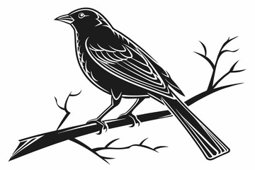 canary sihouette black vector