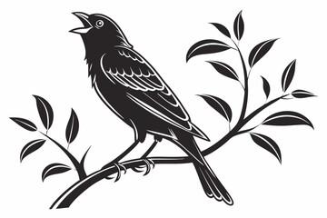 canary sihouette black vector
