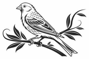 canary sihouette black vector