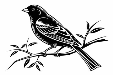 canary sihouette black vector
