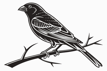 Fototapeta premium canary sihouette black vector