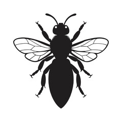 graphic honey bee isol vector art silhouette